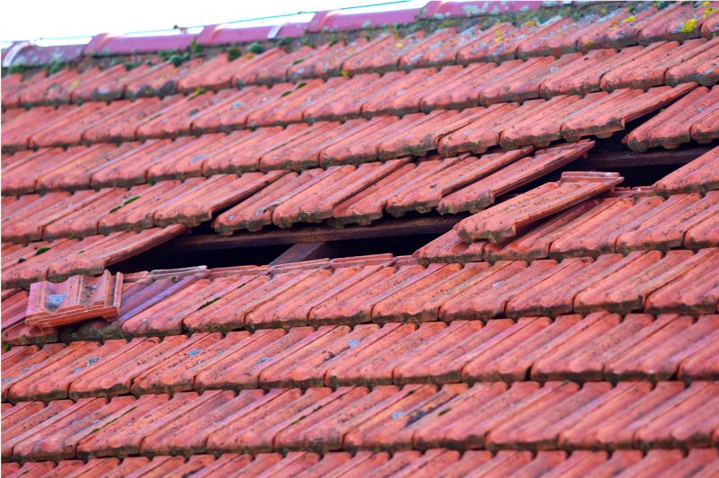 Damaged Roof Replacement in Pittsfield, VT