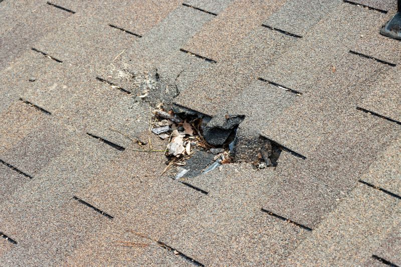 Leaky Roof Replacement in Addison County, VT
